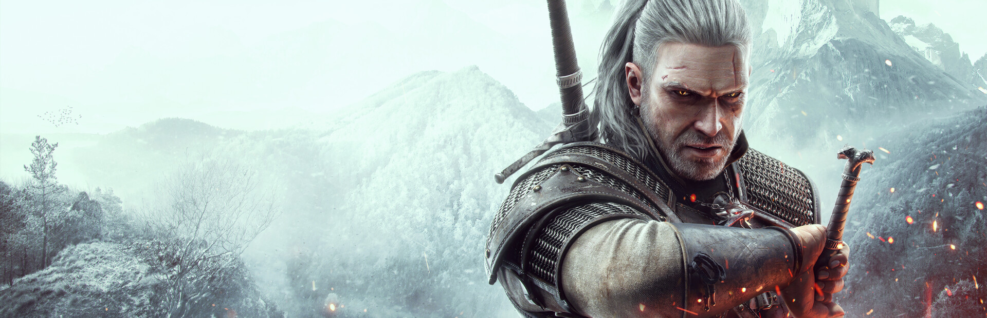 THE WITCHER 3